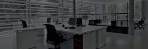 Here is what we can do for you
